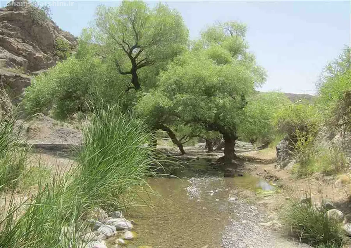 چشمه آب گرماب فیروزه