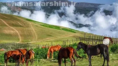 ییلاق سوباتان تالش