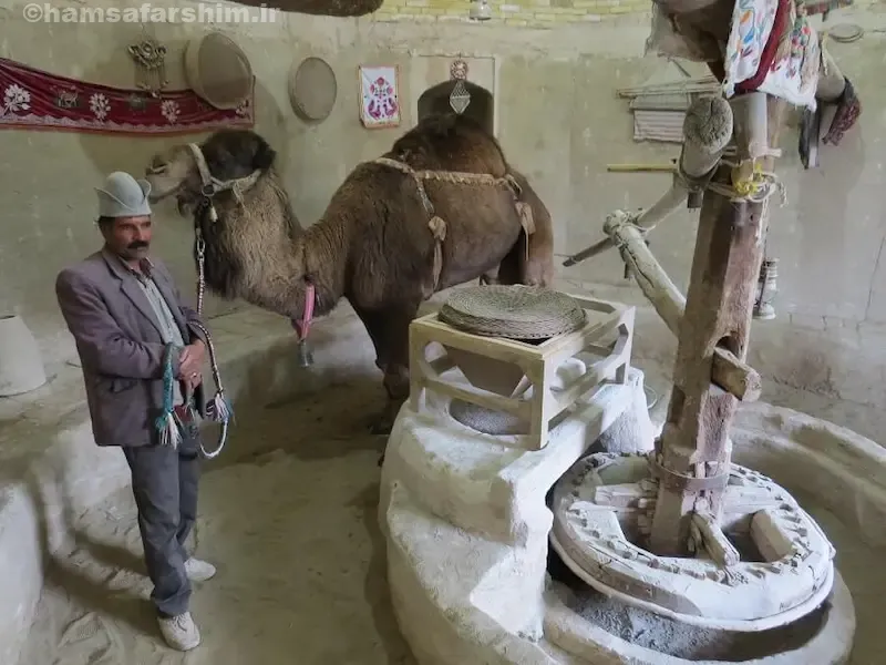آسیاب شتر