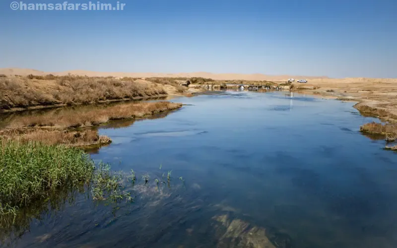 تالاب بین‌المللی گاوخونی