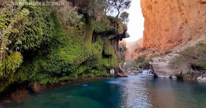 پوشش گیاهی تنگه براق