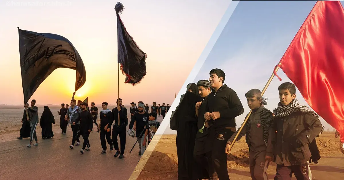 زائرین کربلا در حال پیاده روی احساسی مسیر نجف به کربلا، اربعین ۱۴۰۴