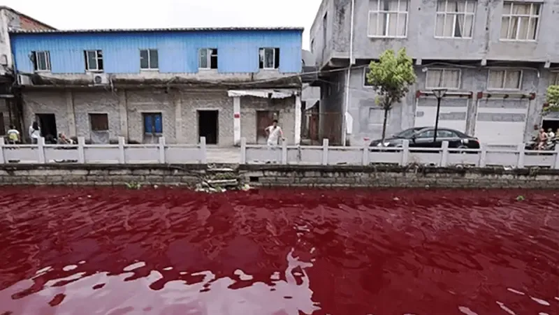 باران خون در هند