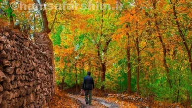 جاذبه طبیعی خوانسار