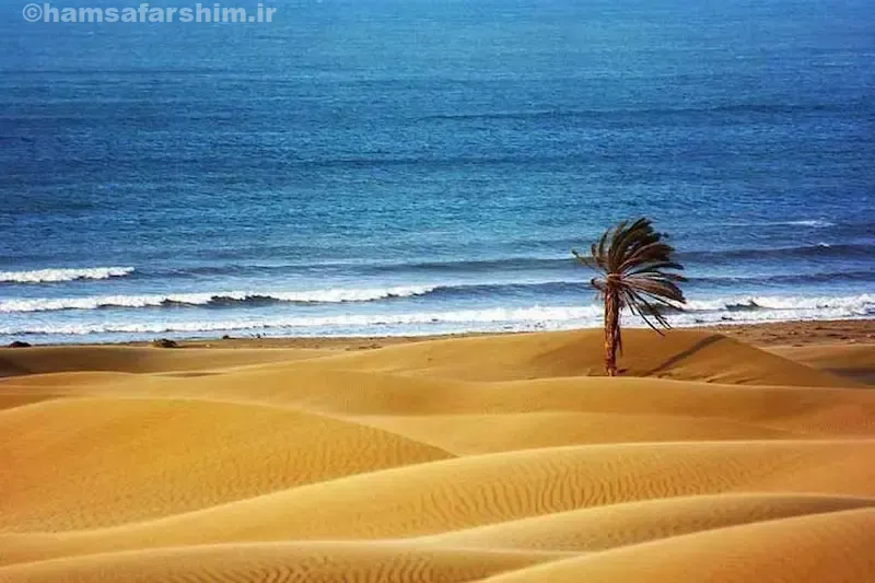 ساحل درک