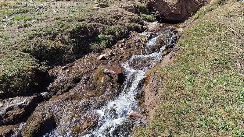 غذاهای محلی مازندران