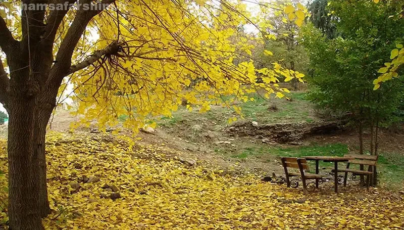 پارک جنگلی سرخه حصار تهران