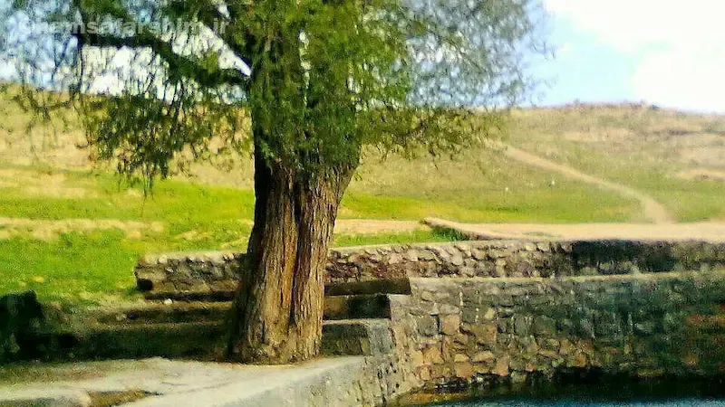 امکانات رفاهی و محدودیت‌ها چشمه علی 