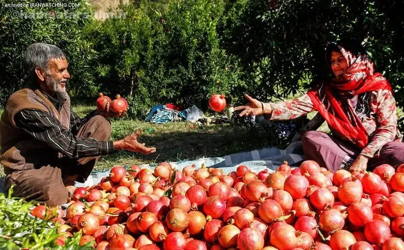 جشن‌ها و آیین‌های محلی الموت