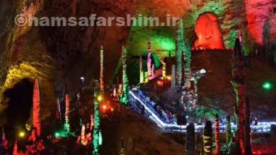 غار یلو دراگون