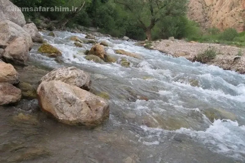 چشمه‌ معروف سرچشمه نینه رود