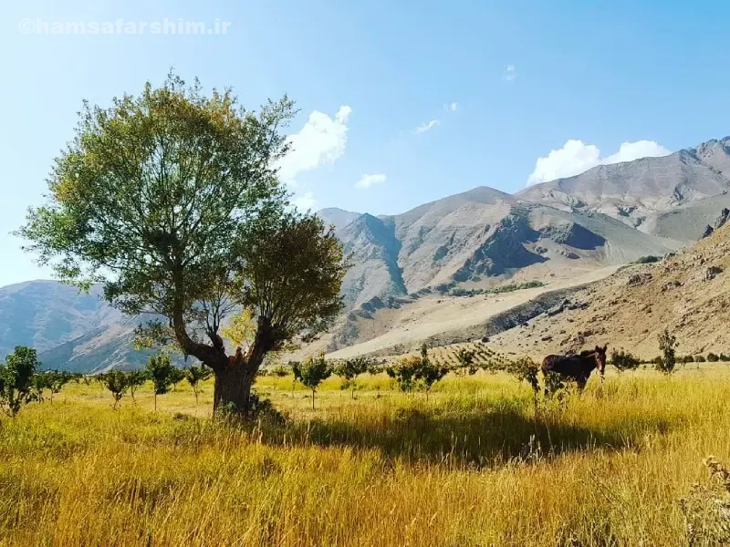 امکانات اقامتی و بوم‌گردی در دشت هویج