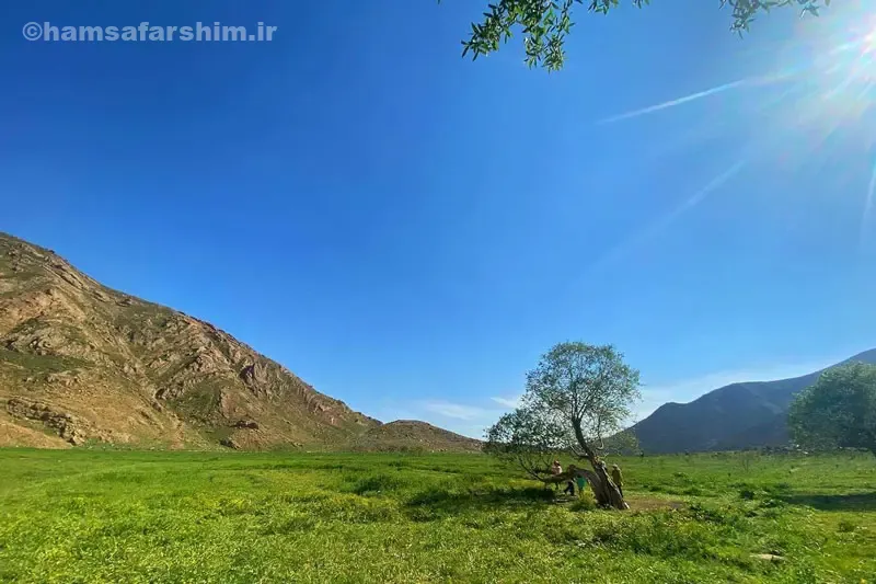 برنامه پیشنهادی سفر یک‌روزه به دشت هویج از تهران