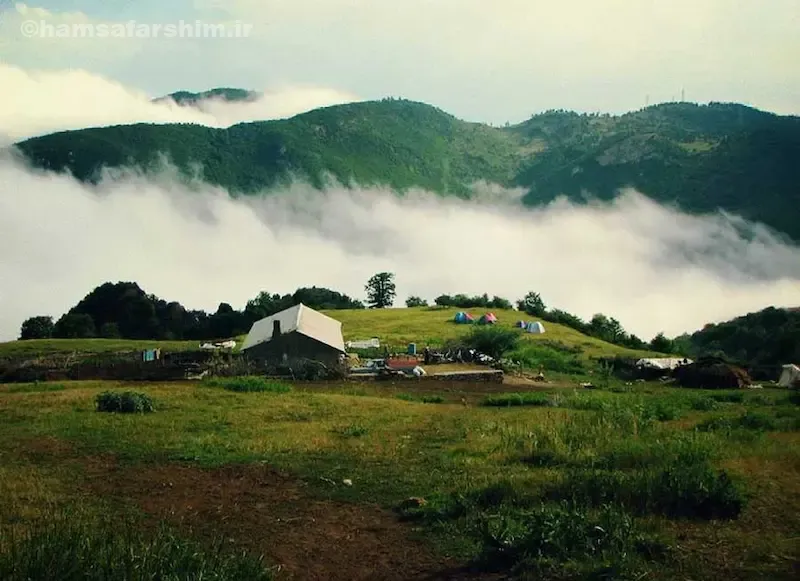 جنگل ابر شاهرود