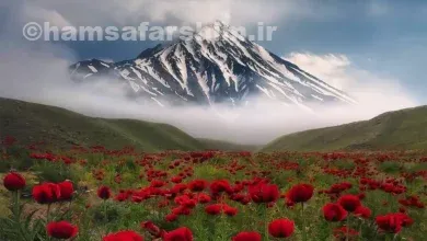 دشت مشاء