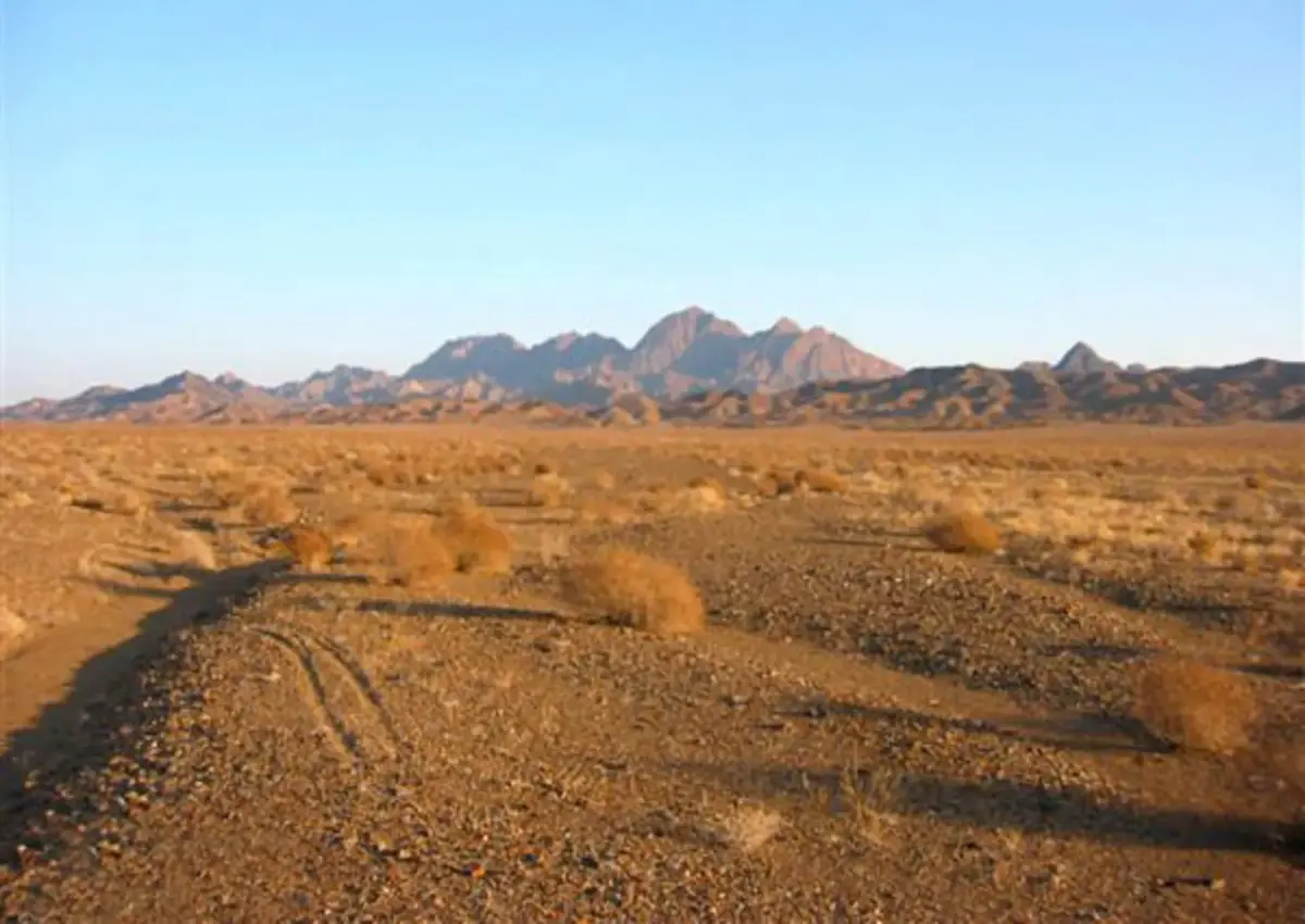 راهنمای کامل پارک ملی کویر