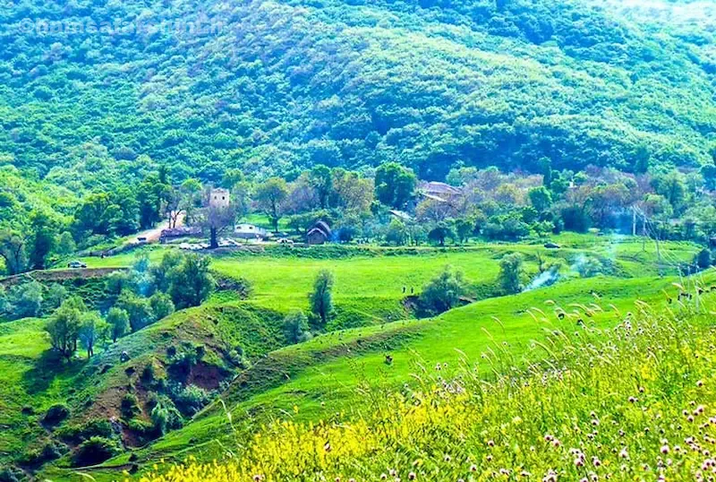 مسیر پیاده‌روی تا دشت هویج