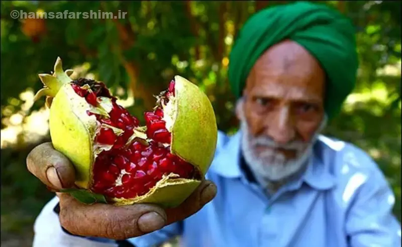 یزد؛ سرزمین انارهای سرخ