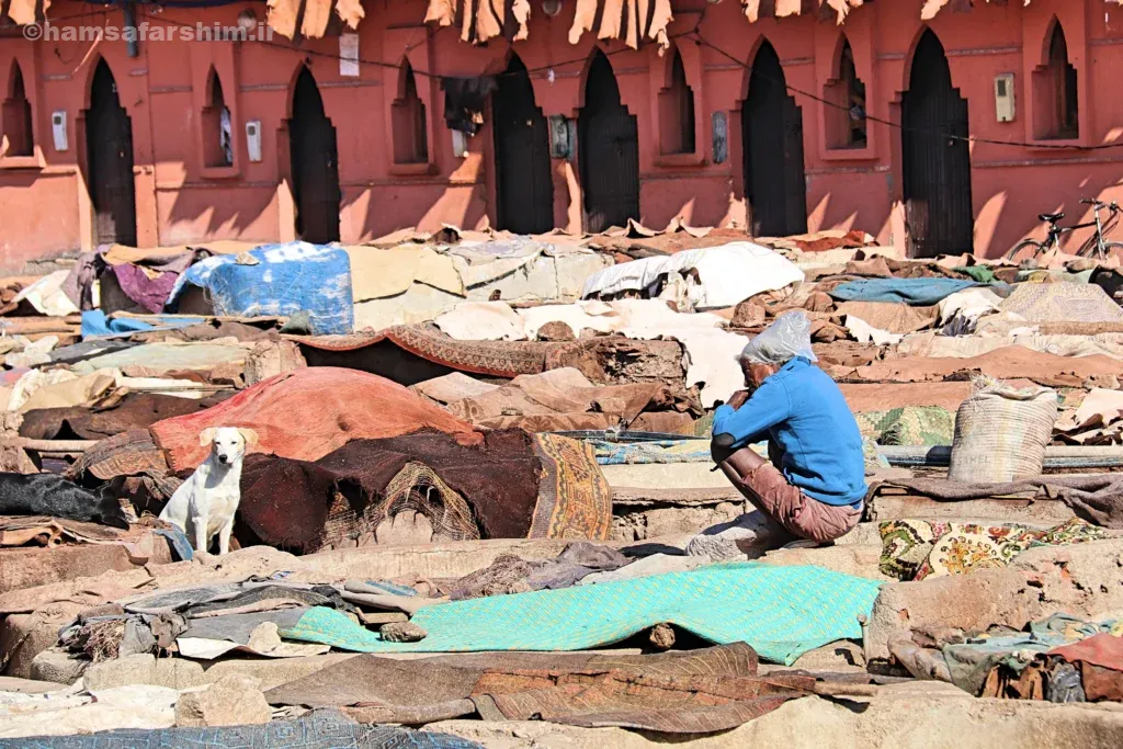 بازدید از دباغ‌خانه‌های مراکش