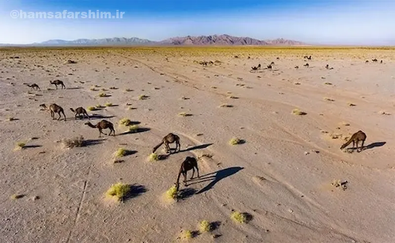 جغرافیا، وسعت و موقعیت دقیق پارک توران