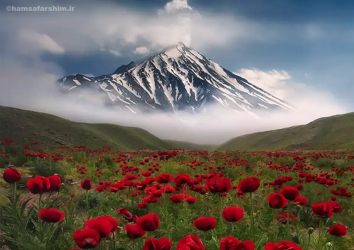 دشت مشاء