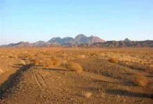 راهنمای کامل پارک ملی کویر