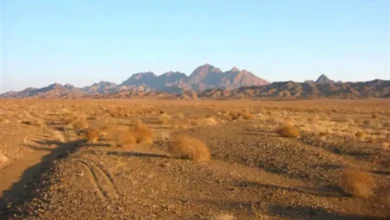 راهنمای کامل پارک ملی کویر