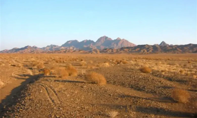 راهنمای کامل پارک ملی کویر