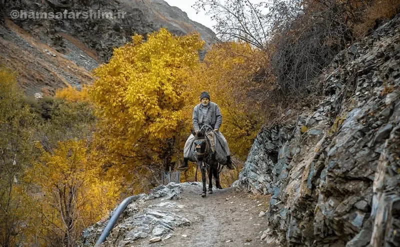 روستای آهار