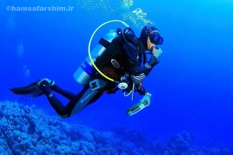 غواصی در آبهای نیلی