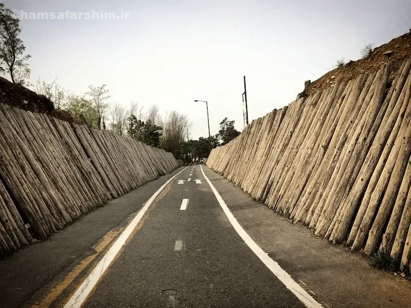 پارک جنگلی چیتگر