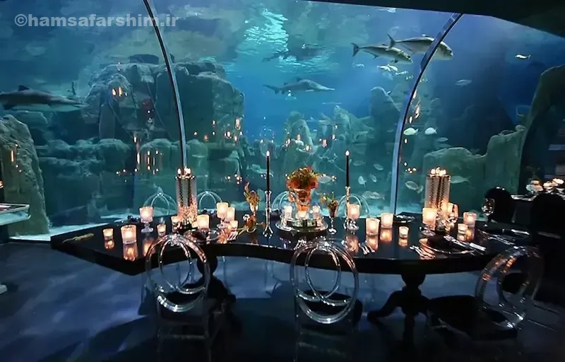 موقعیت مکانی و مسیرهای دسترسی آکواریوم استانبول