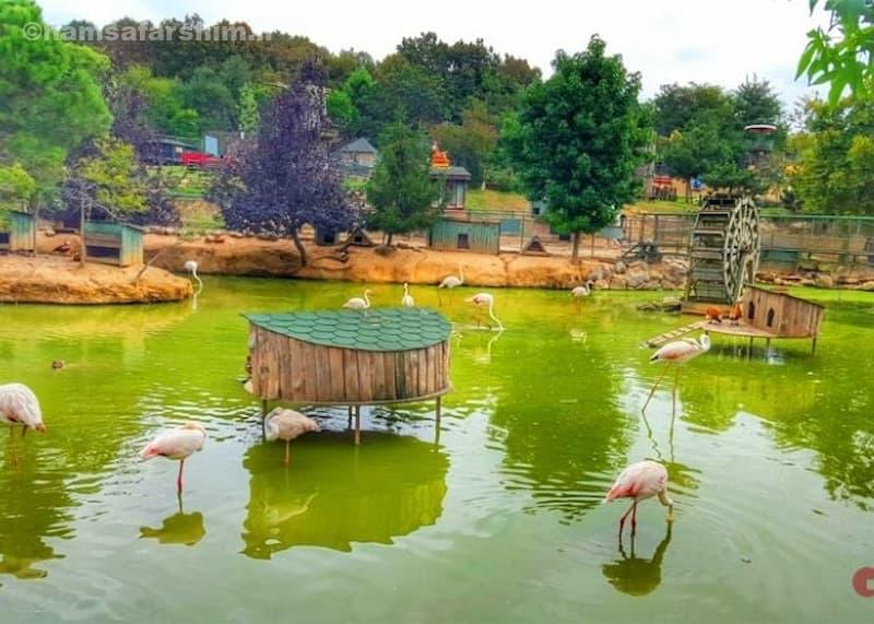 وضعیت آب‌وهوا و بهترین زمان بازدید پولونزکوی