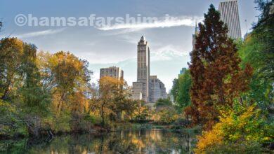 پارک نیویورک