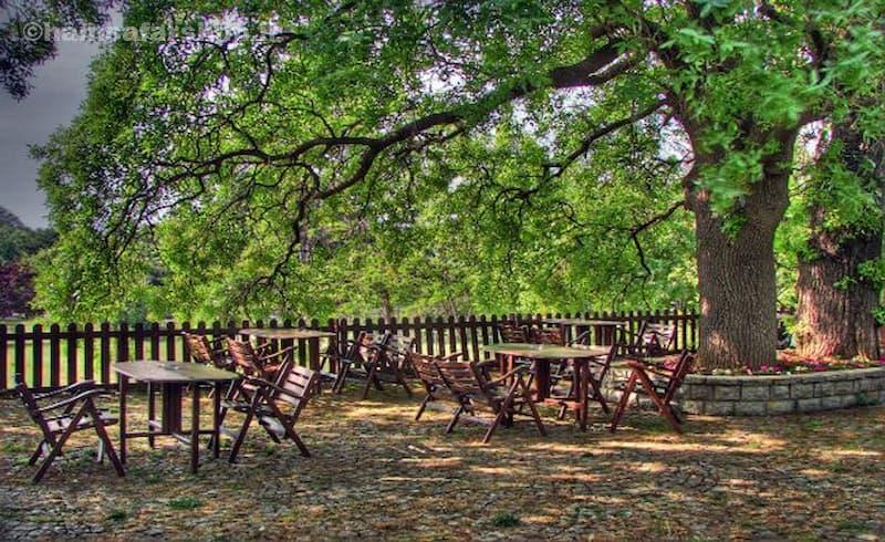 Fenerbahçe Park؛ کلاسیک و نوستالژیک