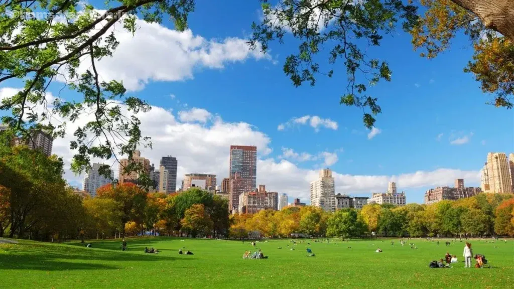 پارک نیویورک