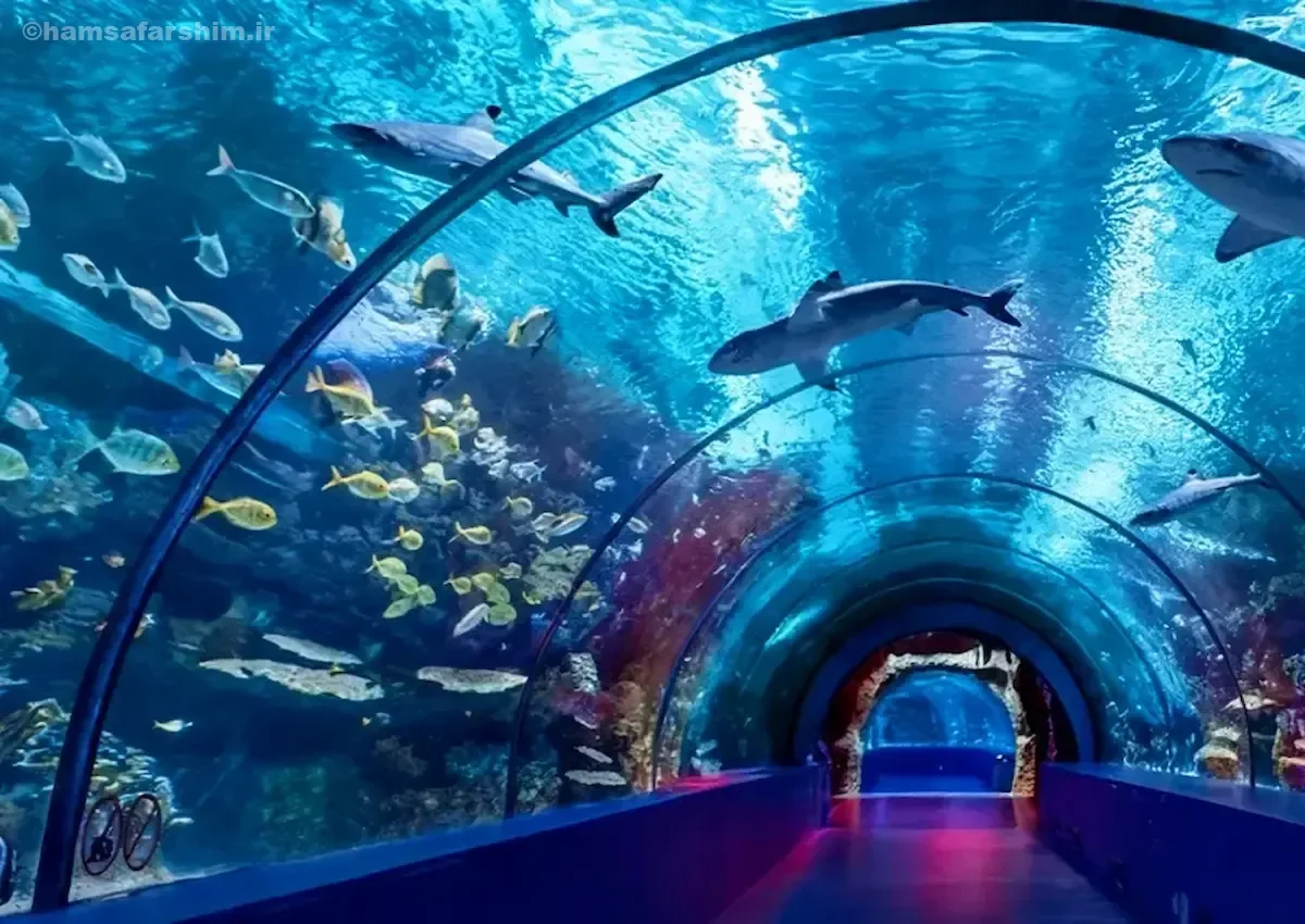 آکواریوم استانبول در فلوریا