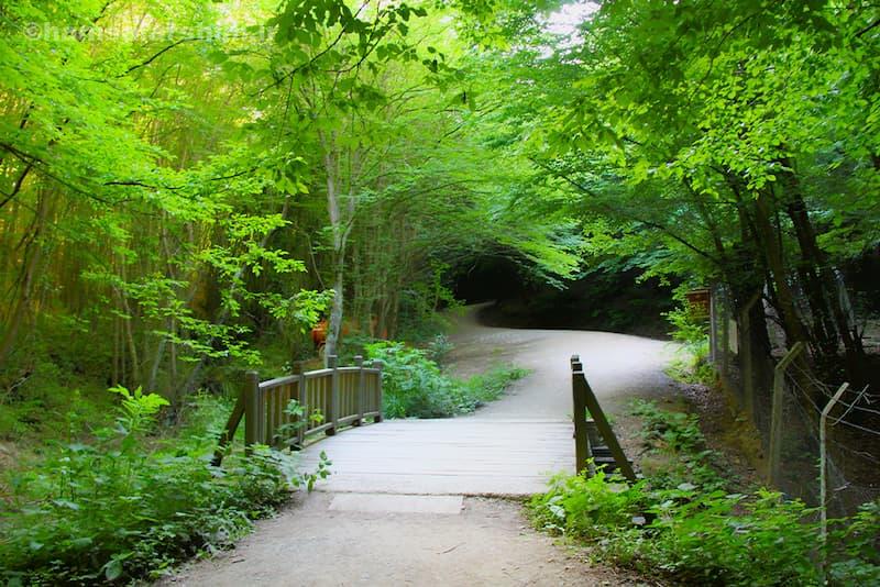 جاذبه‌های اصلی پولونزکوی