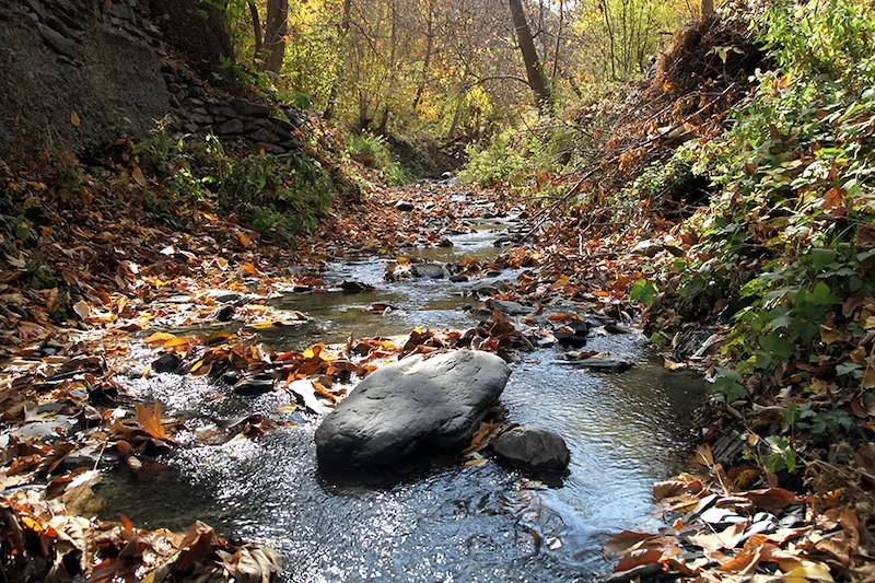 روستای مایان