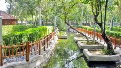 طرقبه کجاست و چه جاهای دیدنی دارد؟