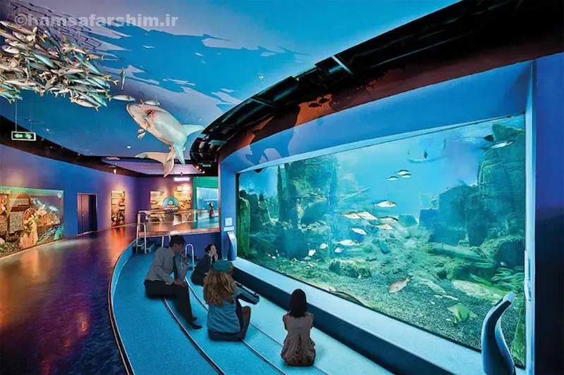 مرکز خرید آکوا فلوریا و امکانات اطراف