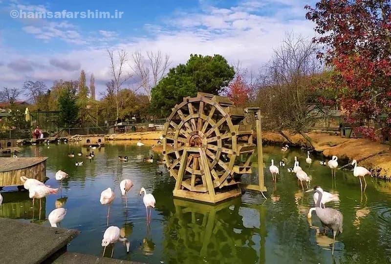 نکات کاربردی برنامه‌ریزی سفر به پولونزکوی