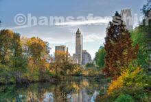 پارک نیویورک