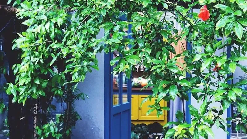 کافه این‌جا - کریم‌خان