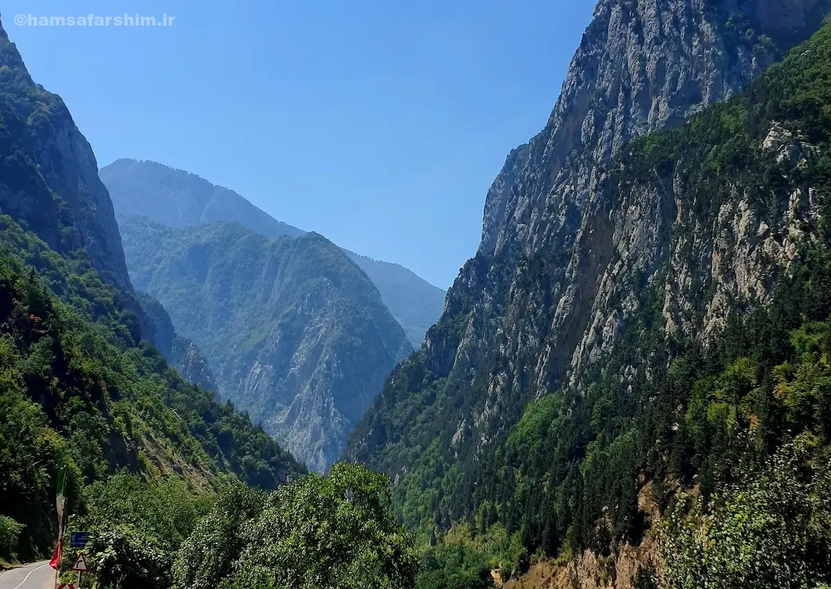 جنگل سفید آب رودسر