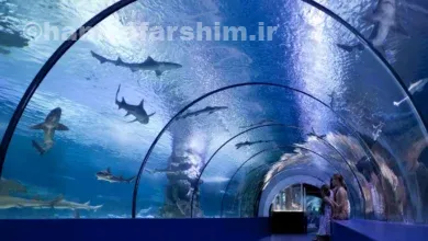 درباره آکواریوم کایوکان اوساکا