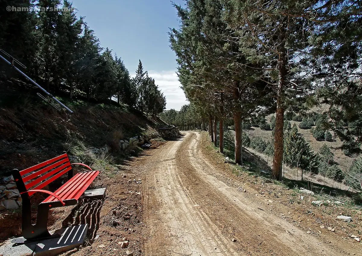 پارک جنگلی غزال (تلو)