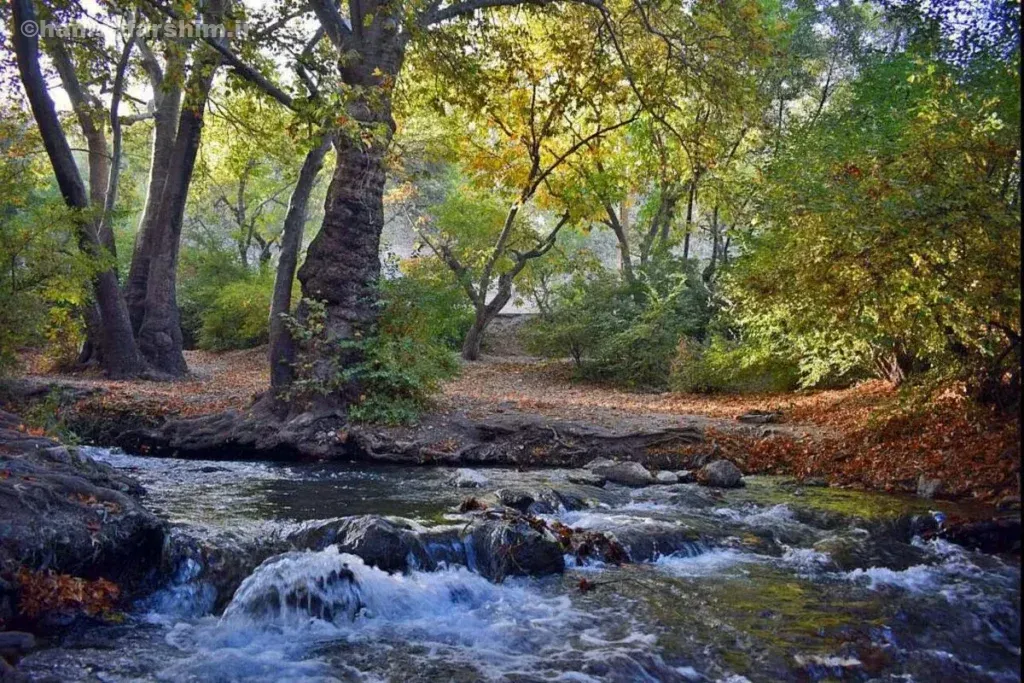 سرابهای نهاوند