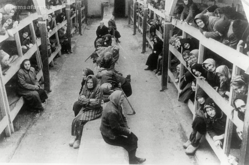 آزادسازی آشویتس