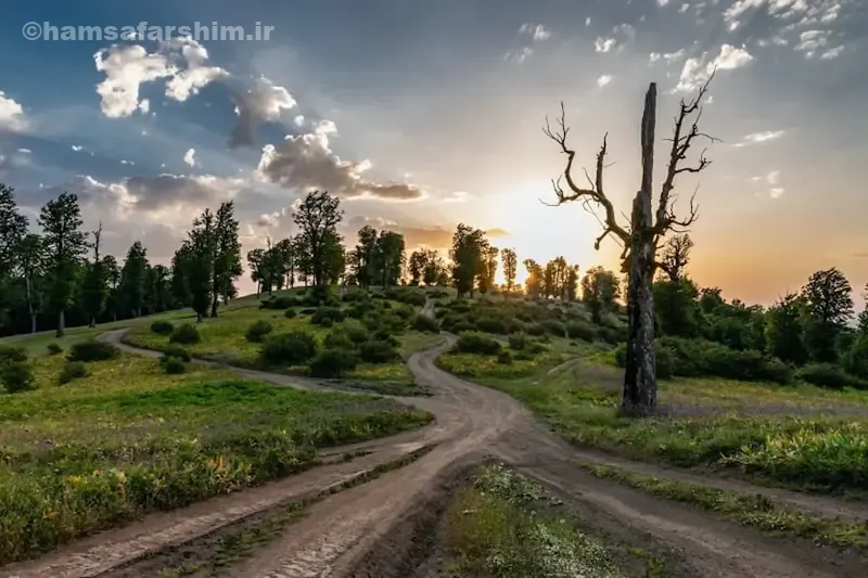 آداب و رسوم محلی و فرهنگ مردم منطقه سلانسر
